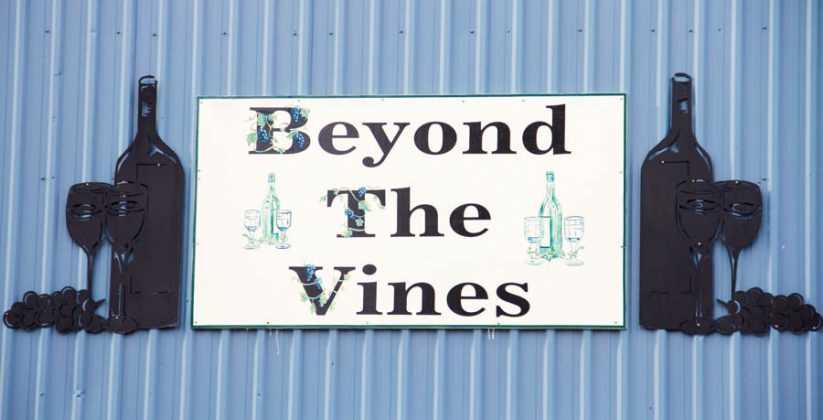Beyond The Vines
