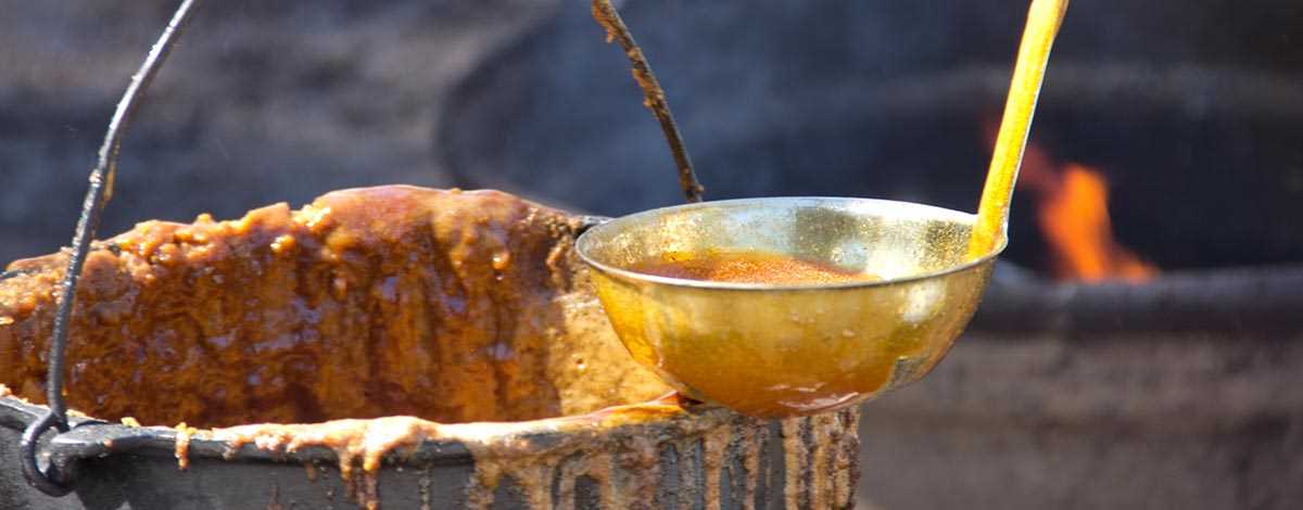 maple-syrup festival Saugeen Bluffs